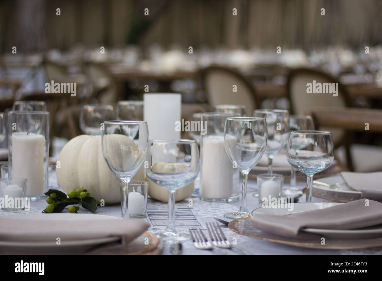 Elegant dinner table served on a garden Stock Photo