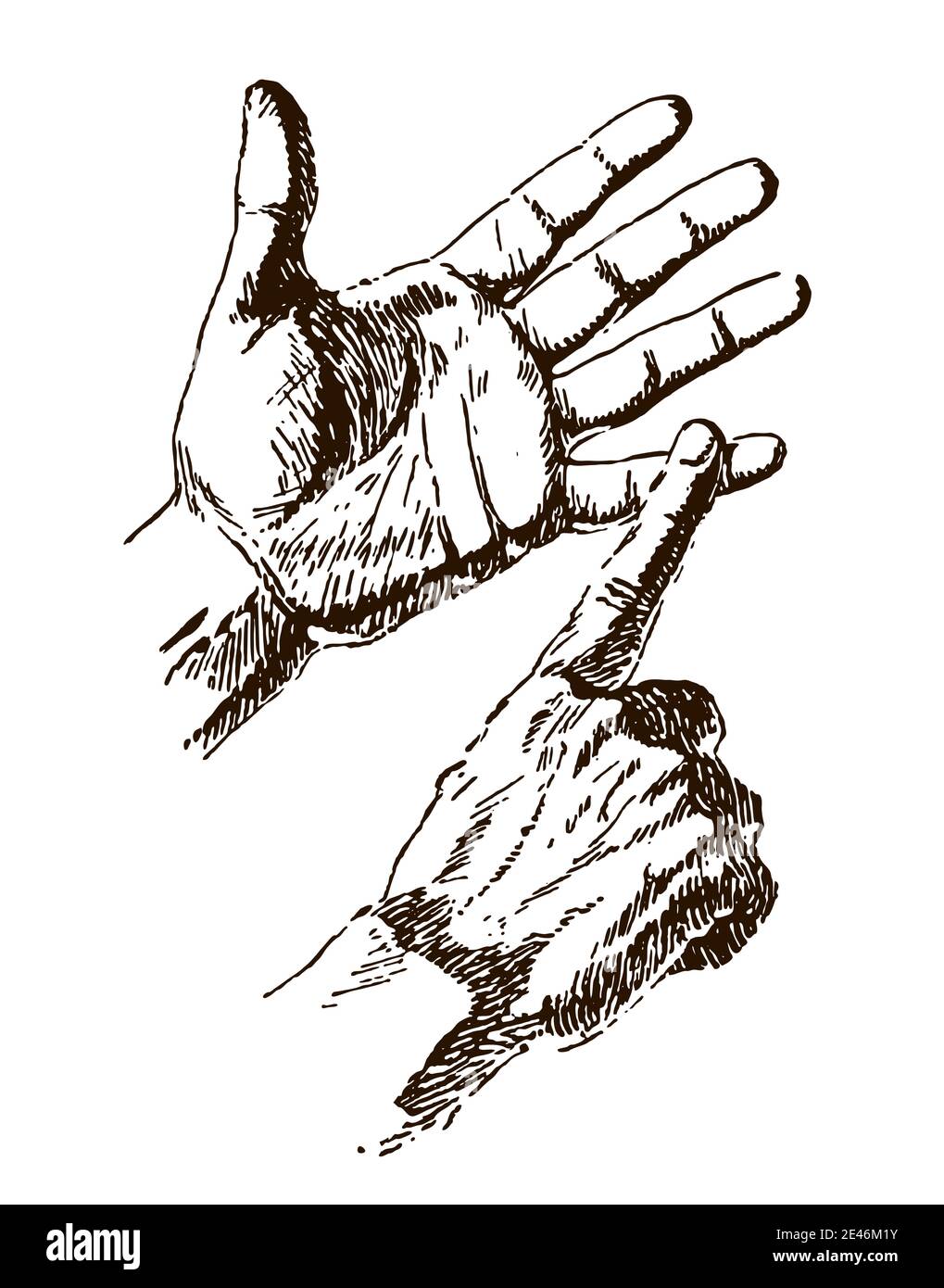 Two male human hands in finger counting gesture, after an antique engraving from the early 20th century Stock Vector