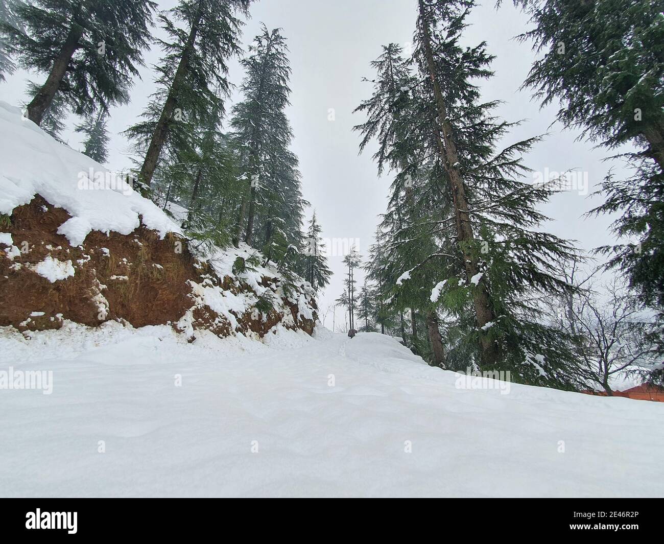 Kashmir snowfall hi-res stock photography and images - Alamy