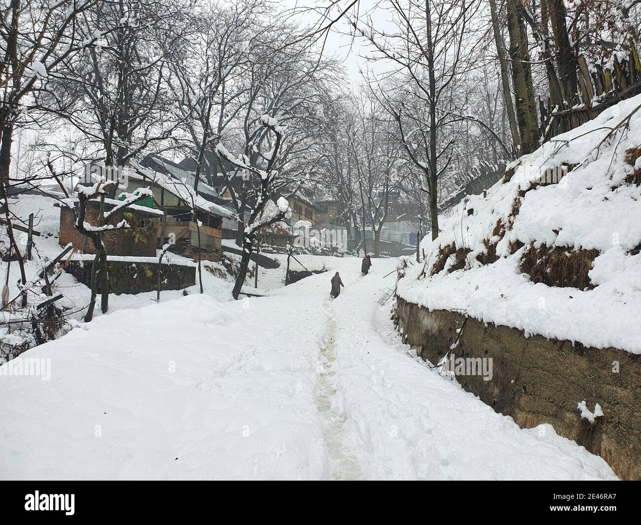 Snowfall in kashmir hi-res stock photography and images - Alamy