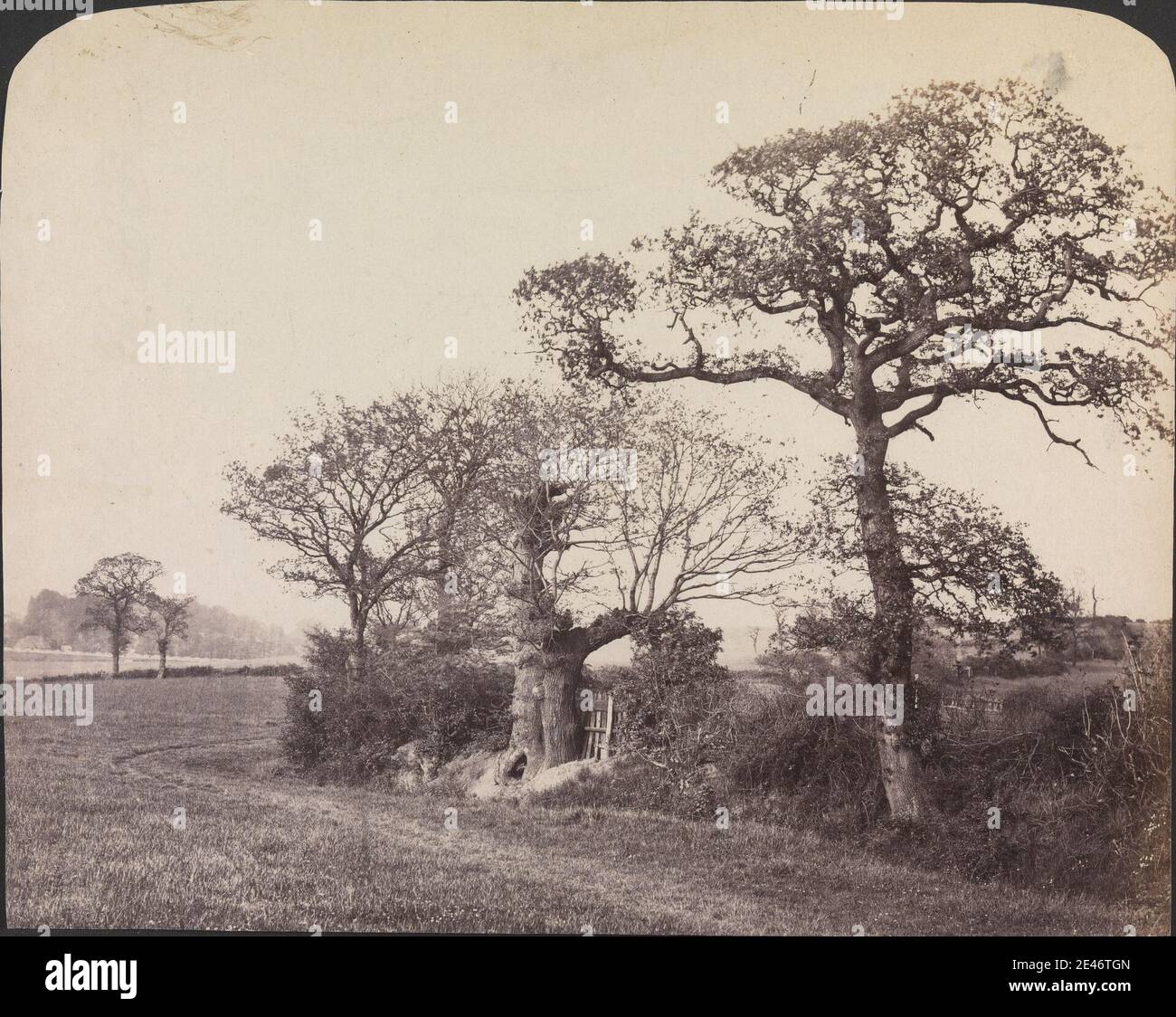 shadbolt british hires stock photography and images Alamy