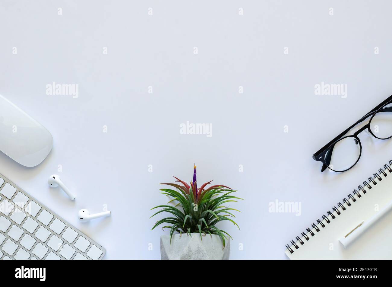 Background of work space concept with air plant Tillandsia, mouse, keyboard, earphone, notebook, pen and spectacles on white background. Stock Photo