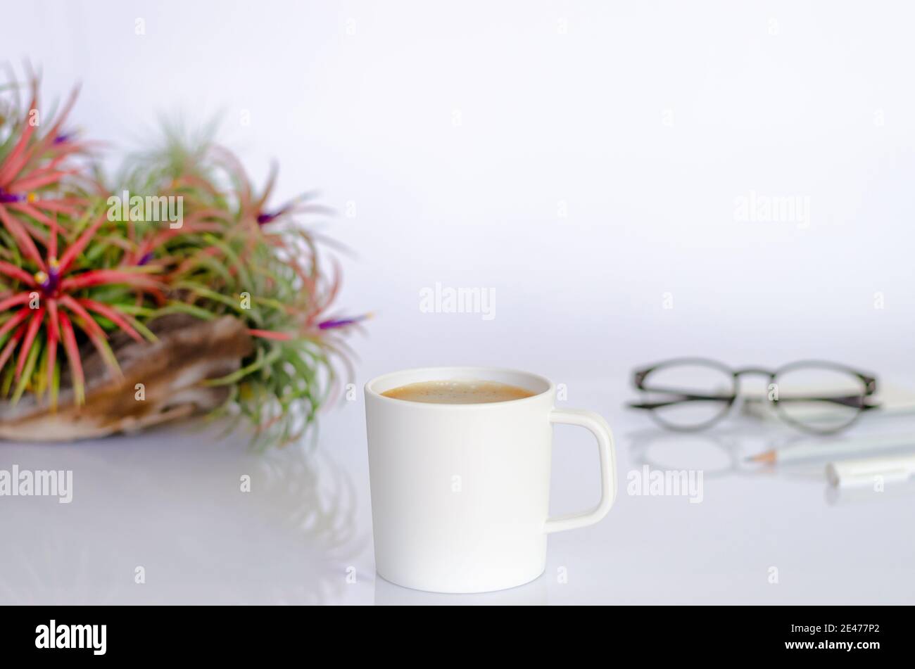 A cup of coffee on working table with air plant Tillandsia, spectacles, pen and pencil on white background. Stock Photo