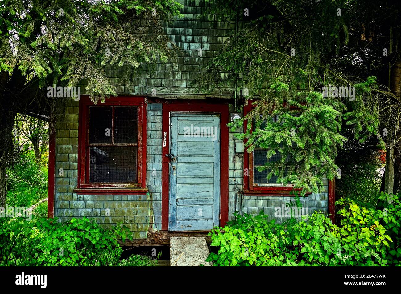 A  view of a small house with a locked door and overgrown vegetation  in rural British Columbia Canada. Stock Photo