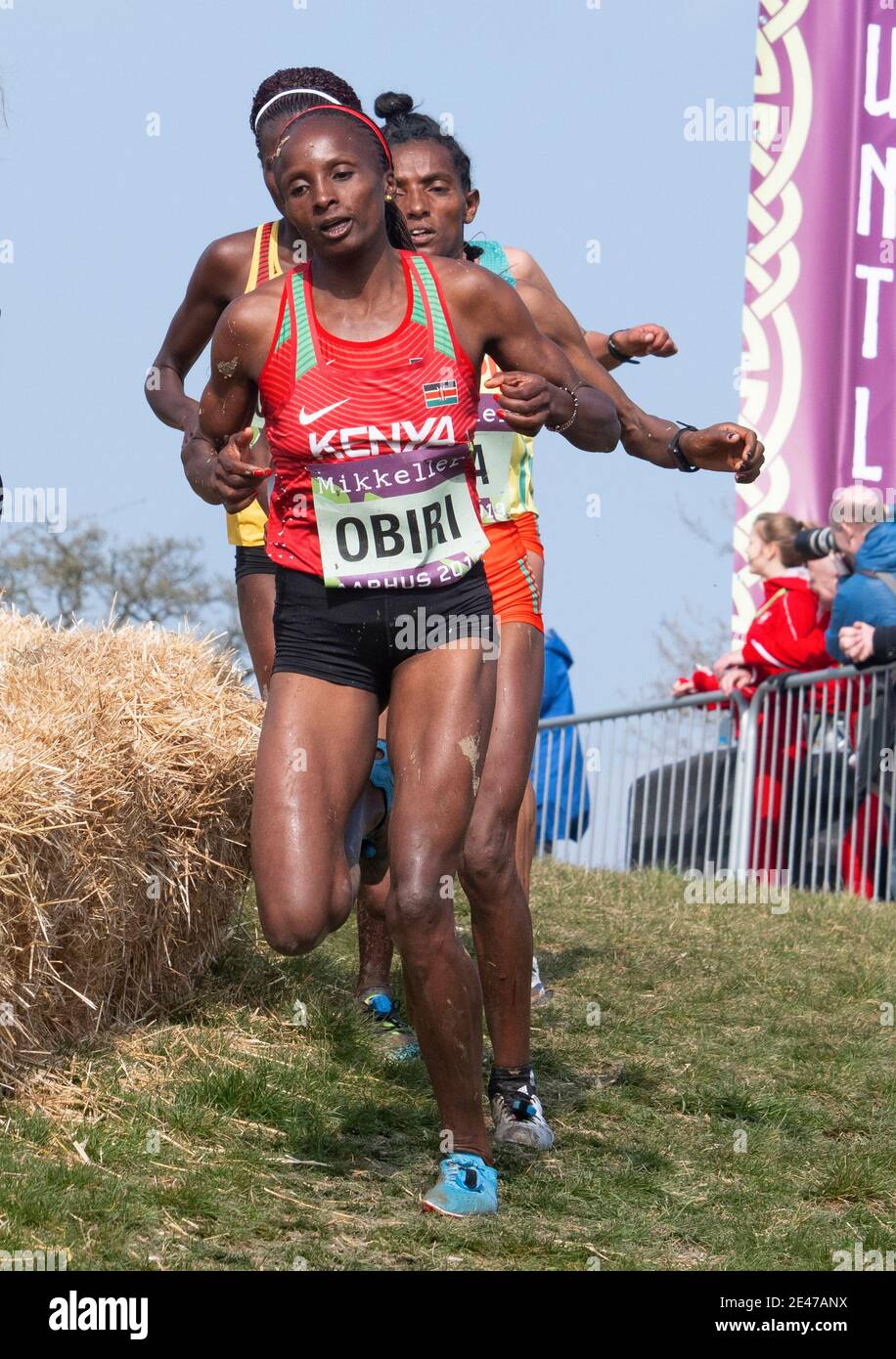 Hellen Obiri (front) from Kenya seen in action during IAAF World Cross