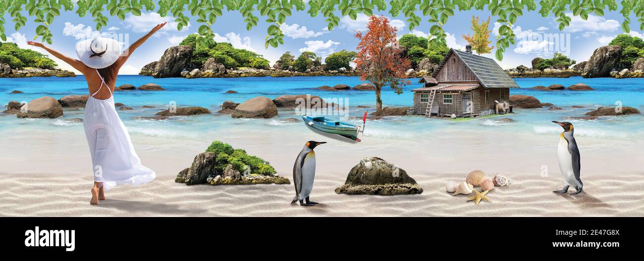 3D Amazing natural wallpaper and background, in Frame lady on the beach  near house and penguin, beautiful landscape poster for wall decor Stock  Photo - Alamy