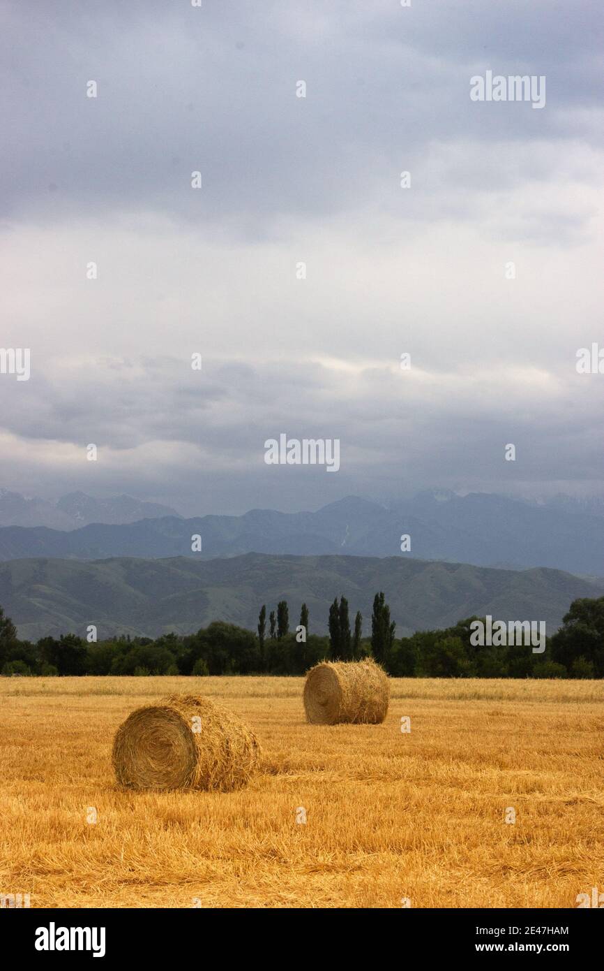 Almaty 2 hi-res stock photography and images - Alamy