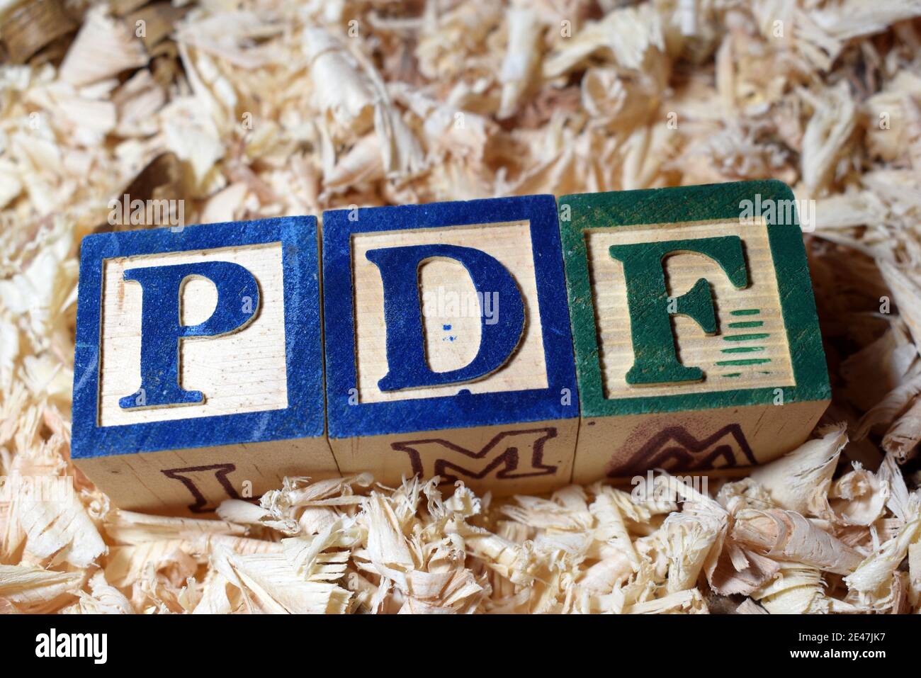 Portable Document Format (PDF) acronym arranged with wooden blocks Stock Photo