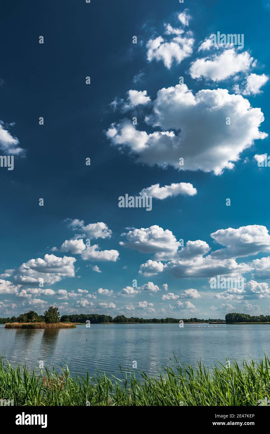 Peitzer teiche hires stock photography and images Alamy