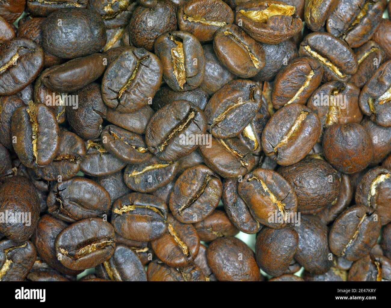 Yunnan coffee beans from Shangri La, delicate tasting and smooth