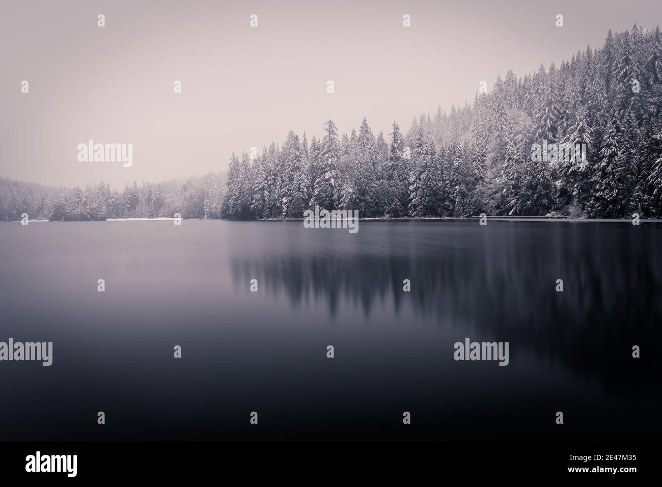Frosty Lake in Winter. Reflection of Snowy Trees. Long Exposure Water Movement. Overcast & Foggy. Sasamat Lake, Port Moody, British Columbia, Canada. Stock Photo