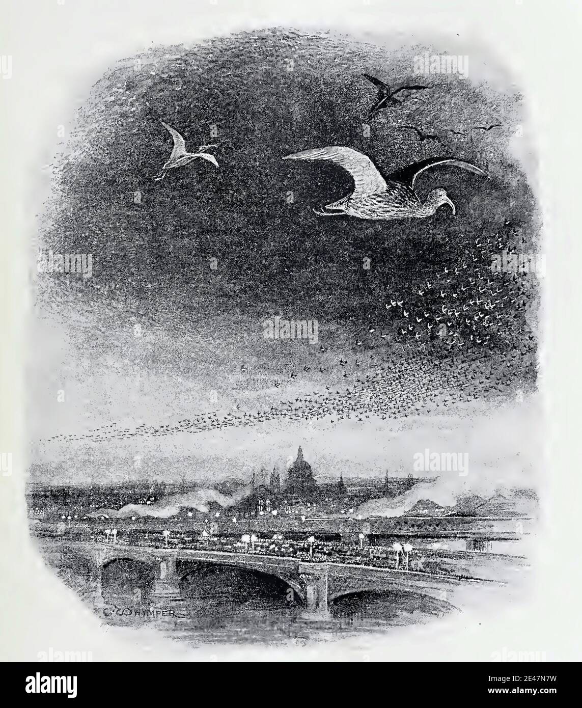 Vintage illustration by Charles Whymper entitled Migrating Birds Passing over London By Night from 1894 Stock Photo