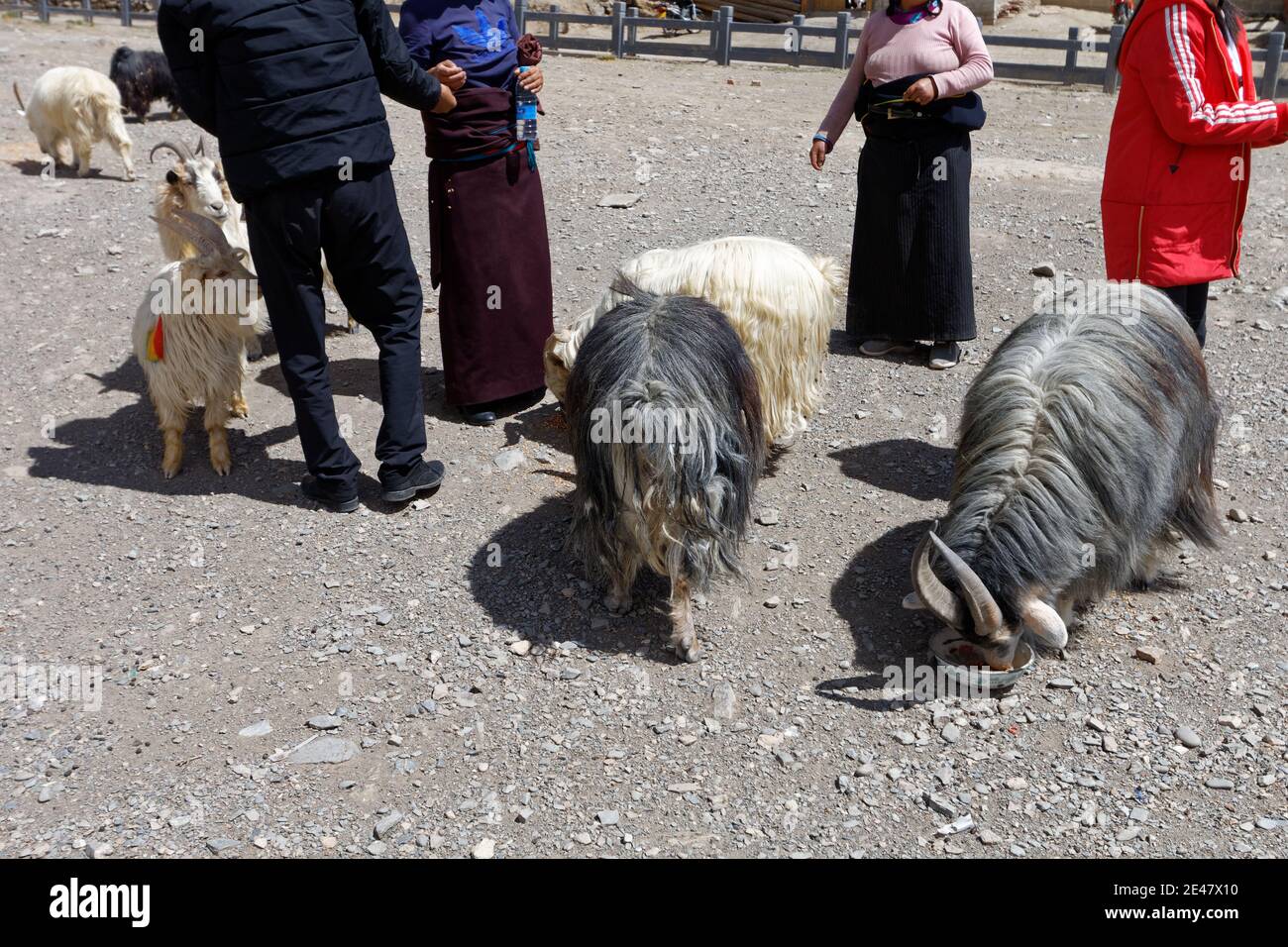 Xiahe, Gansu, the home of famous Labrang monastery Stock Photo