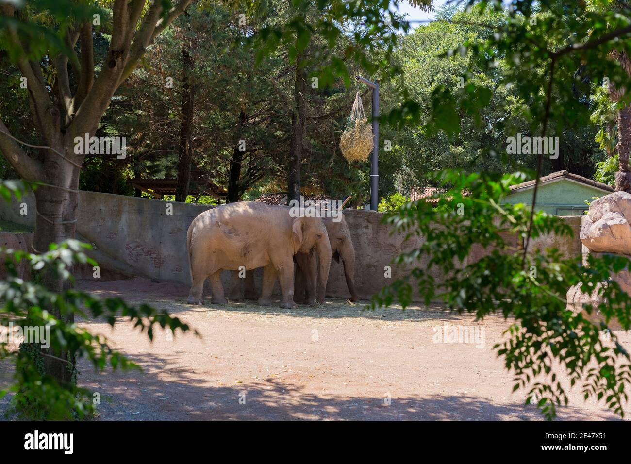 African zoo hi-res stock photography and images - Alamy