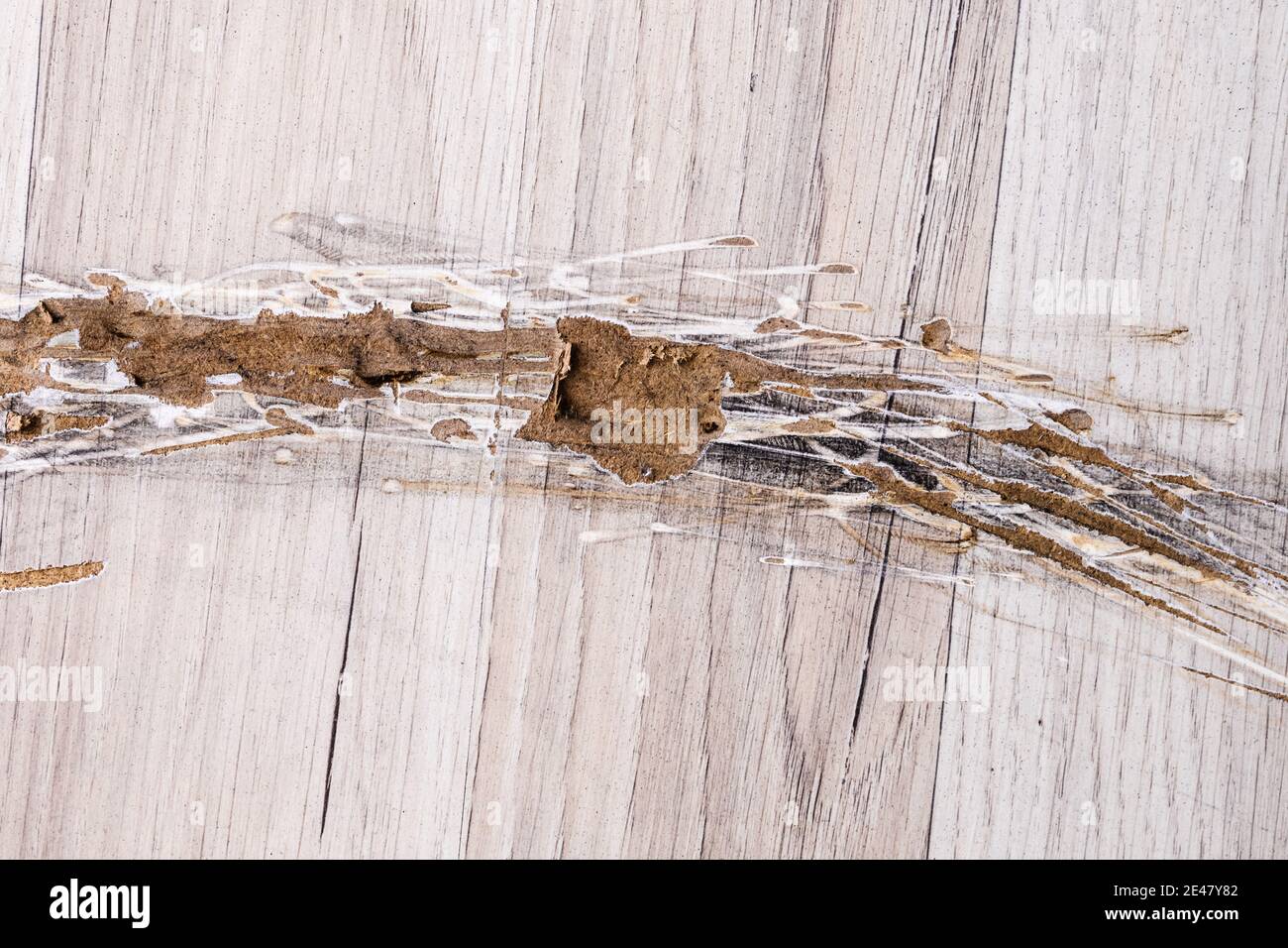 Destroyed Laminate Floor. Broken Old House Flooring With Damage Stock