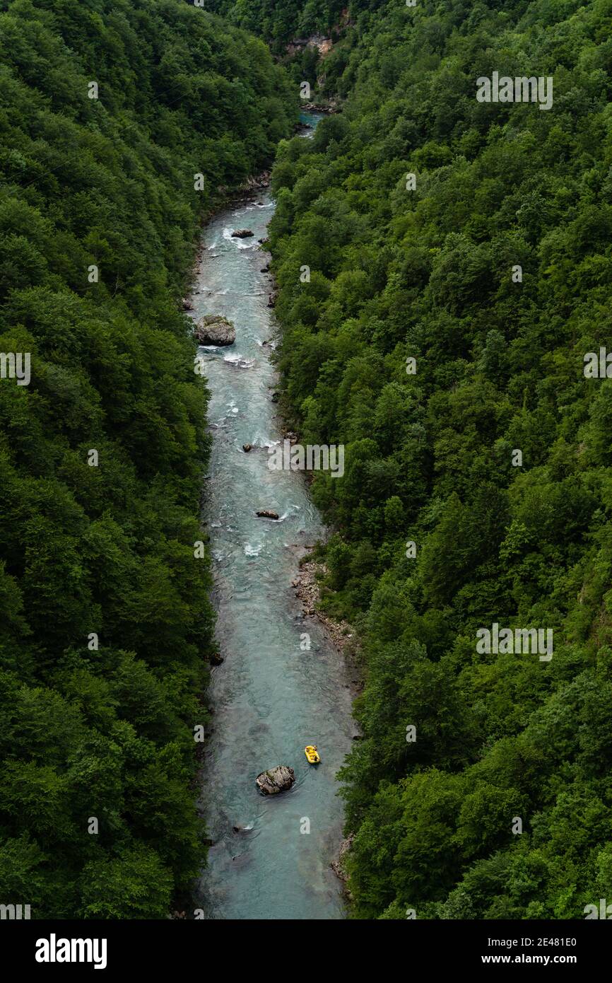 Vertical aerial shot of a river flowing through tree-covered mountains ...