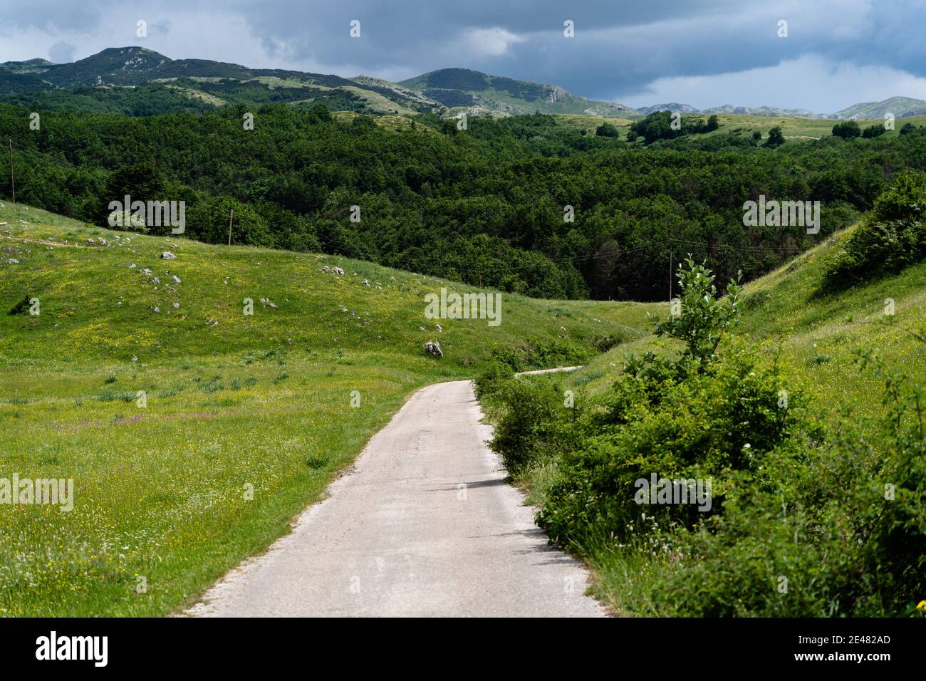 Road in a green field under cloudy sky Stock Photo - Alamy