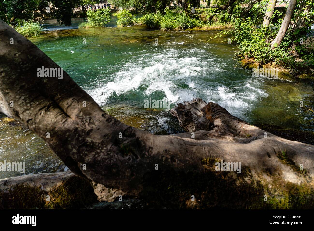 Beautiful shot of a flowing river in a forest Stock Photo - Alamy