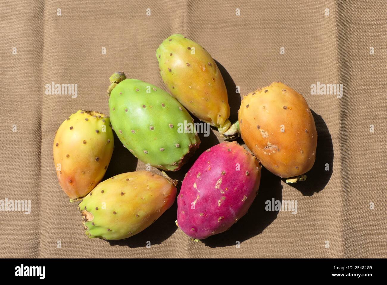 Juicy and colorful prickly pear fruits with small thin spines on the skin Stock Photo