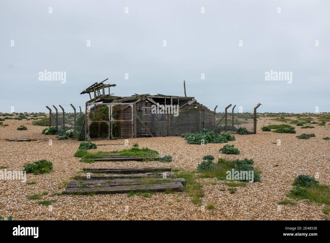 The beach at Dunheness in Kent is famous for it’s mass of pebbles and shingle, its isolation and bleakness. 09 June 2016. Photo: Neil Turner Stock Photo