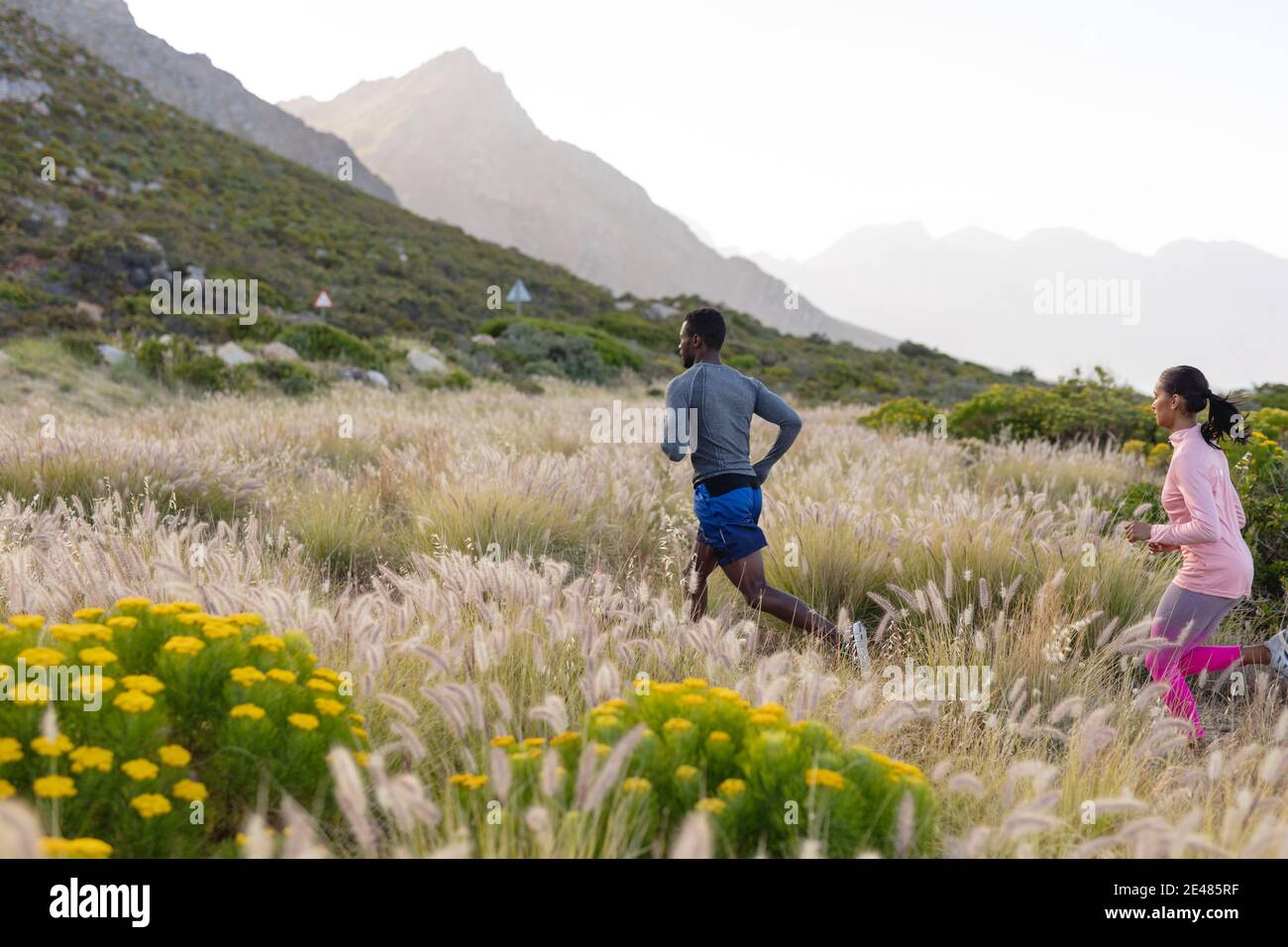 Tall african grass hi-res stock photography and images - Alamy