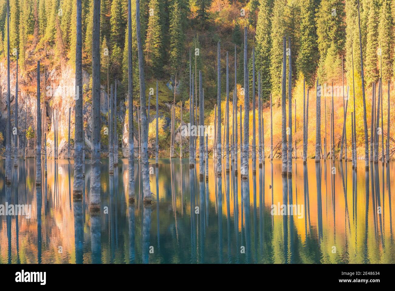 Kaindy Lake in Kolsai Lakes National Park in Saty, Kazakhstan features submerged birch tree trunks. Stock Photo