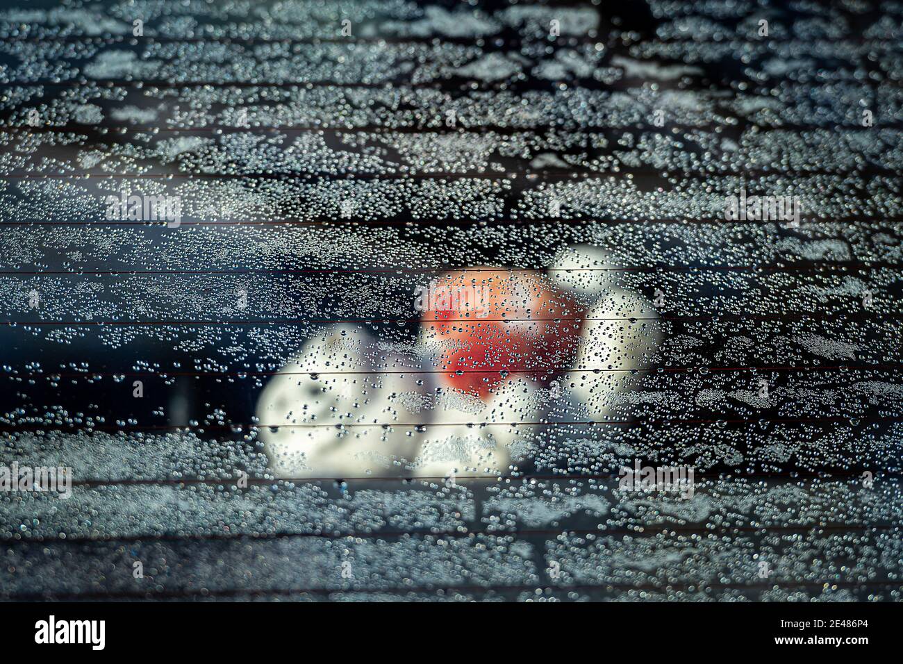 view through the dewy car rear windshield on a toy bear inside the car, selective soft focus Stock Photo