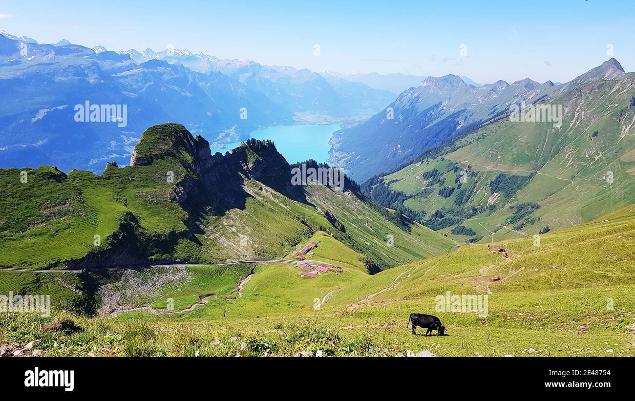 Brienzer rothorn mountain hi-res stock photography and images - Alamy