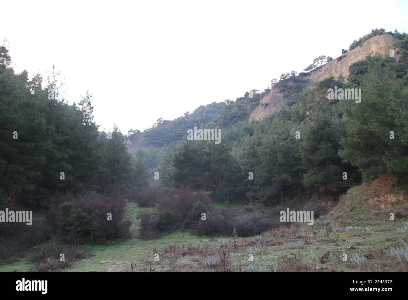 Nature photographs hires stock photography and images Alamy
