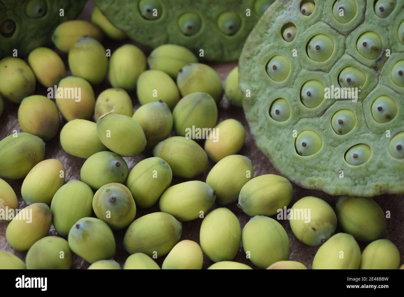lotus seeds Stock Photo Alamy