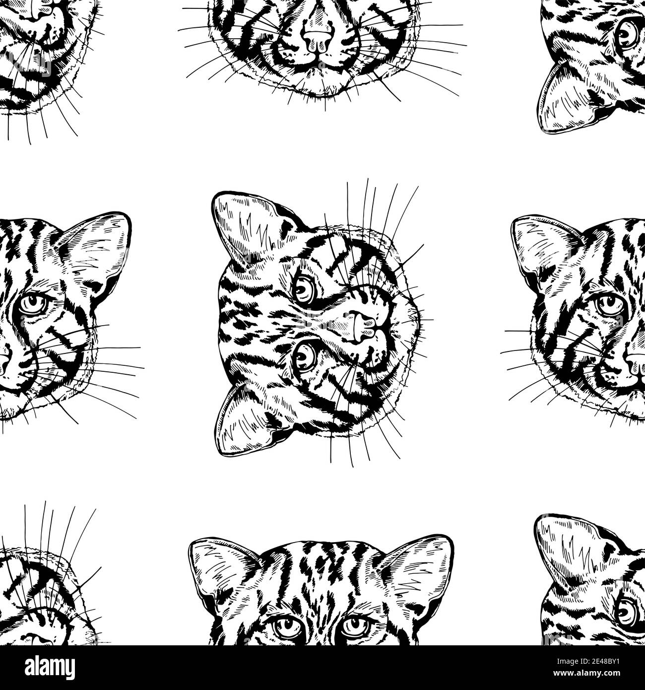 Seamless pattern of hand drawn sketch style fishing cats isolated on