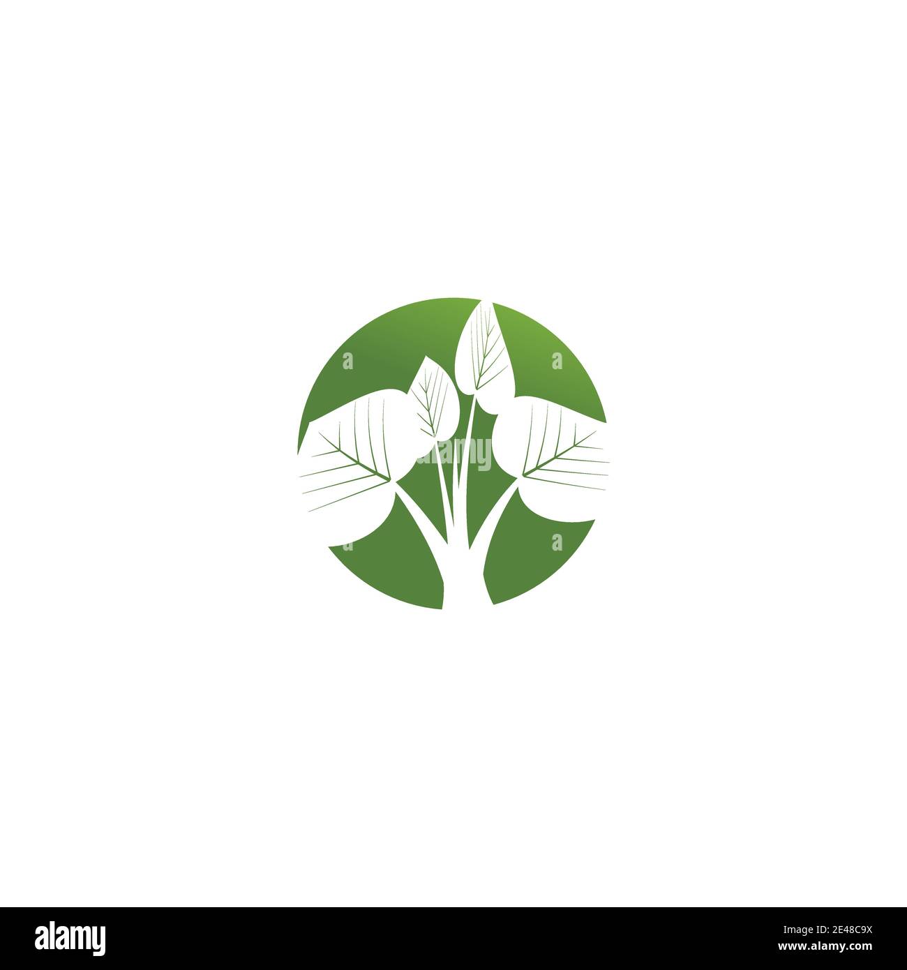 Leaf Logo Template vector symbol nature Stock Vector Image & Art - Alamy