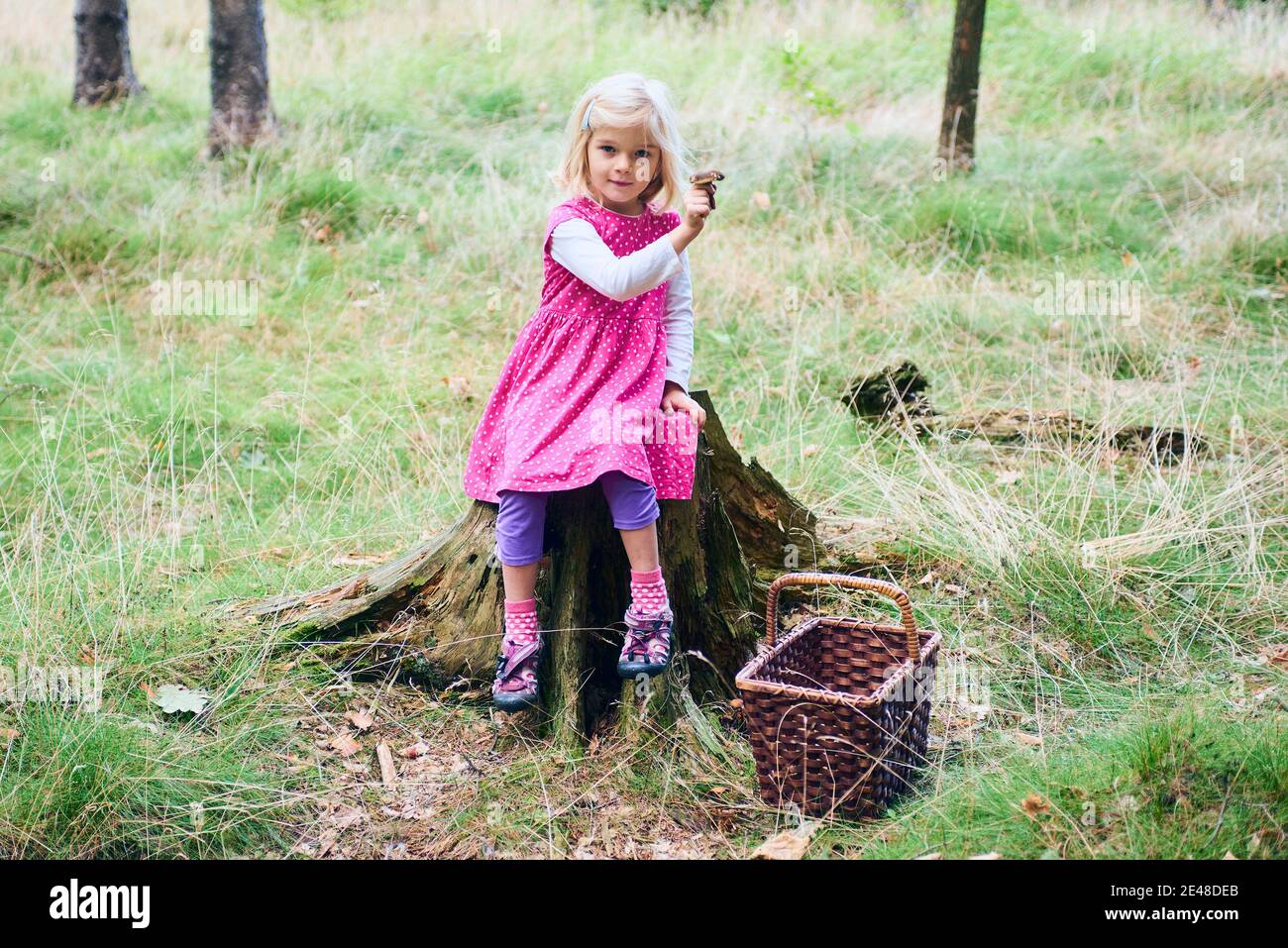 Child girl sitting on a tree stump in the forest and holding an edible ...