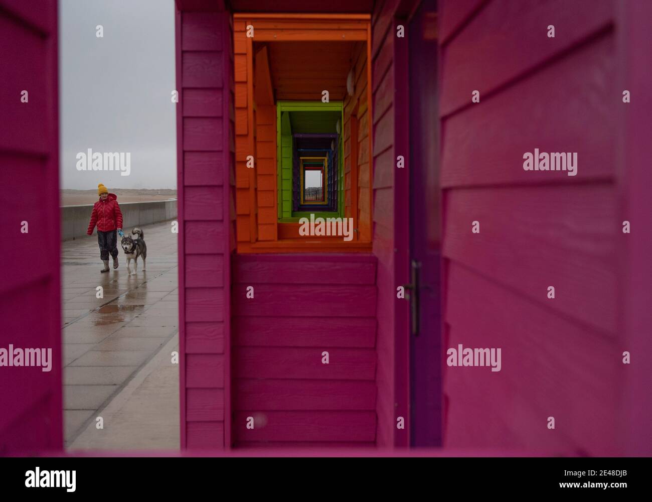 Friday 12th June 2020 Hartlepool, UK A dog walker is pictured