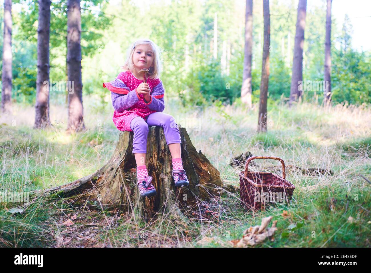 Child girl sitting on a tree stump in the forest and holding an edible ...