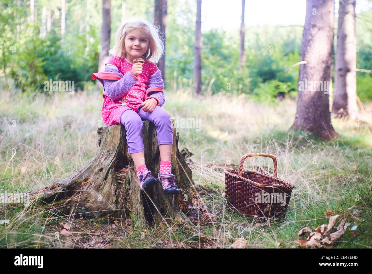 Child girl sitting on a tree stump in the forest and holding an edible ...