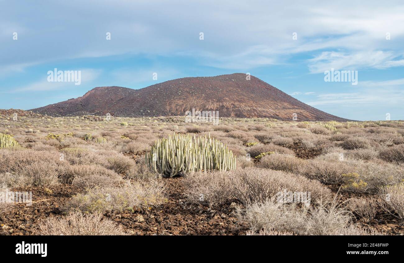 The rough, arid area of Malpais de la Rasca, Tenerife, Canary Islands Stock Photo