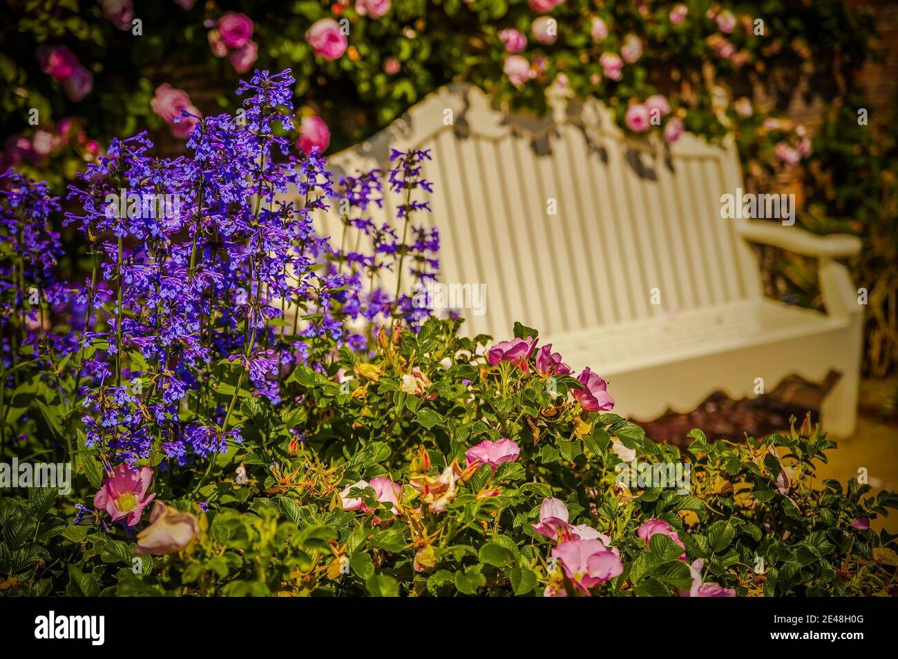 English country garden flowers hi-res stock photography and images - Alamy