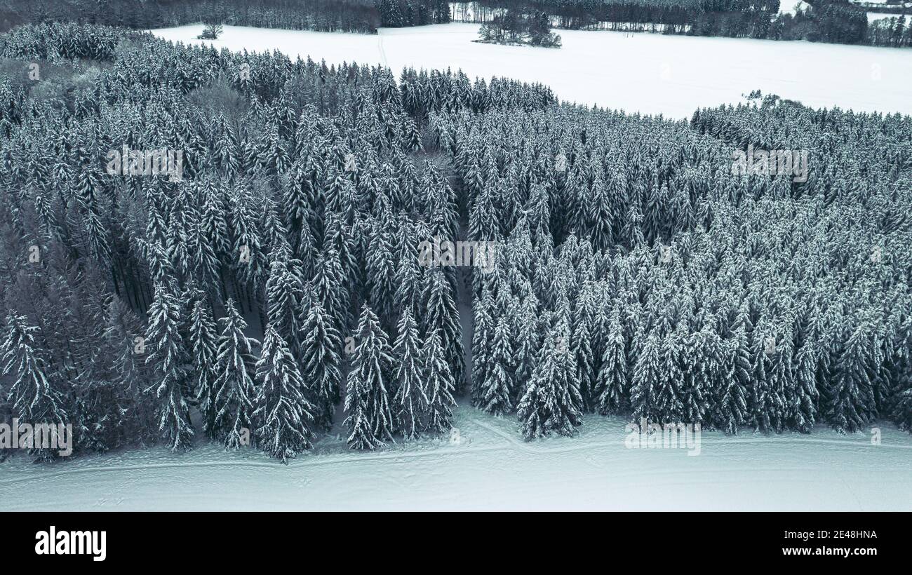 Aerial view of a snowy forest Stock Photo - Alamy