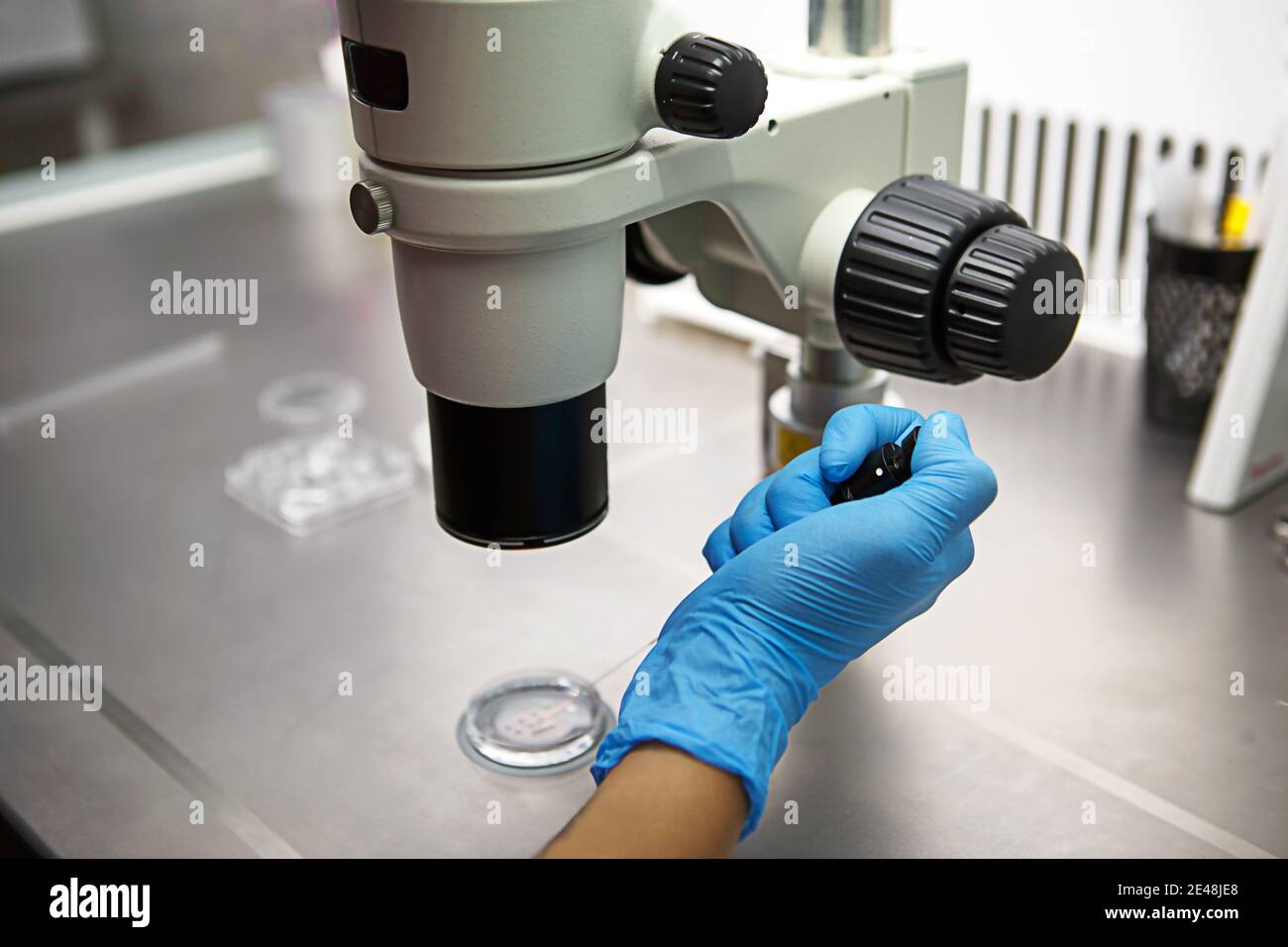 Hands of a scientist in the laboratory with a test tube and a microscope. The invention of the vaccine, a doctor in the clinic of artificial inseminat Stock Photo