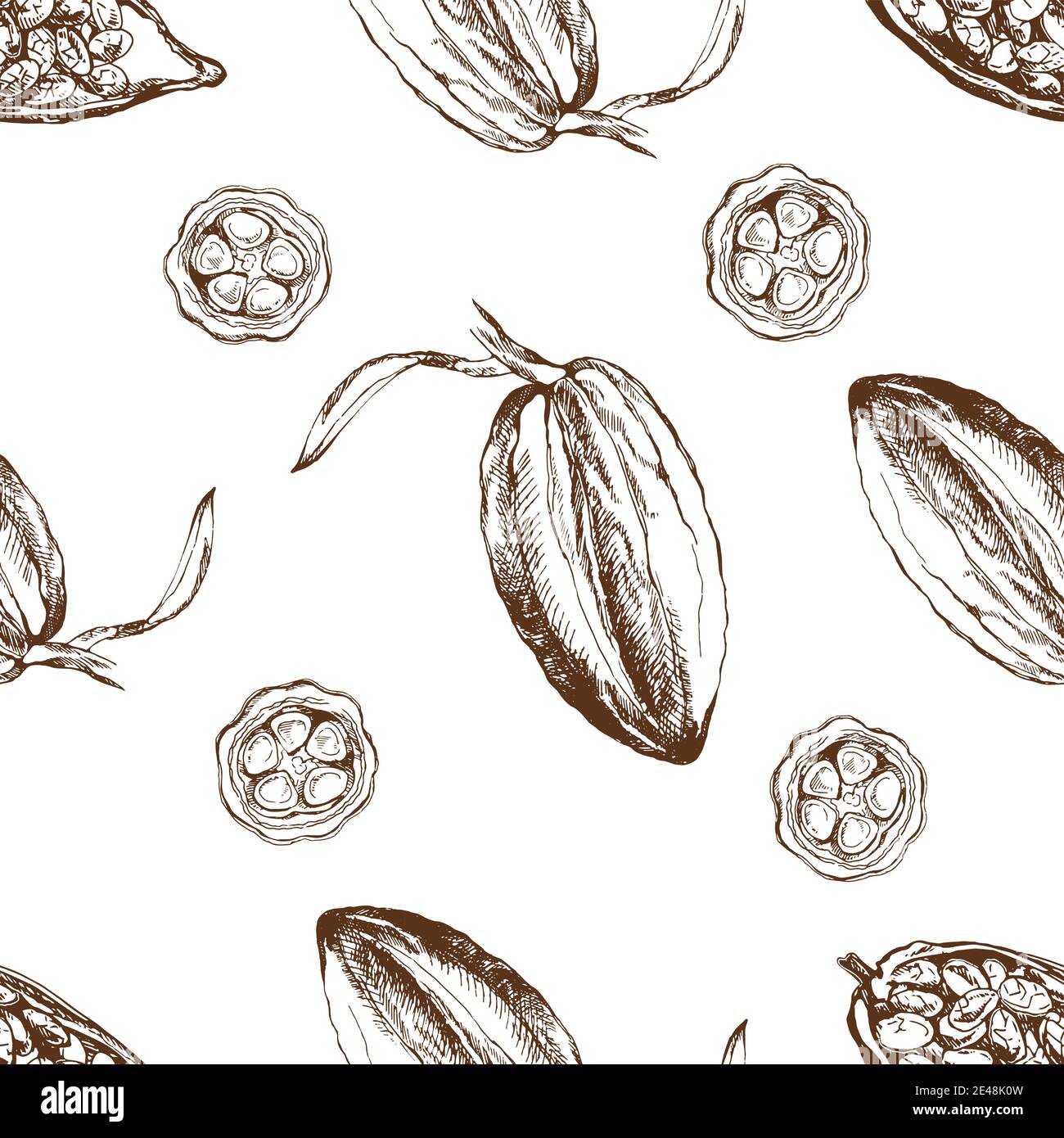Seamless pattern of hand drawn sketch style cocoa beans isolated on ...
