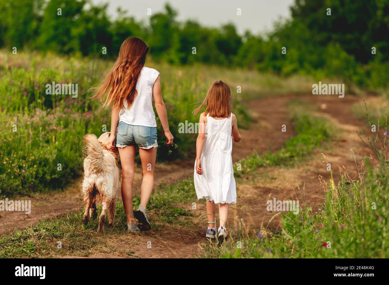 Teen girl walking dog hi-res stock photography and images - Alamy