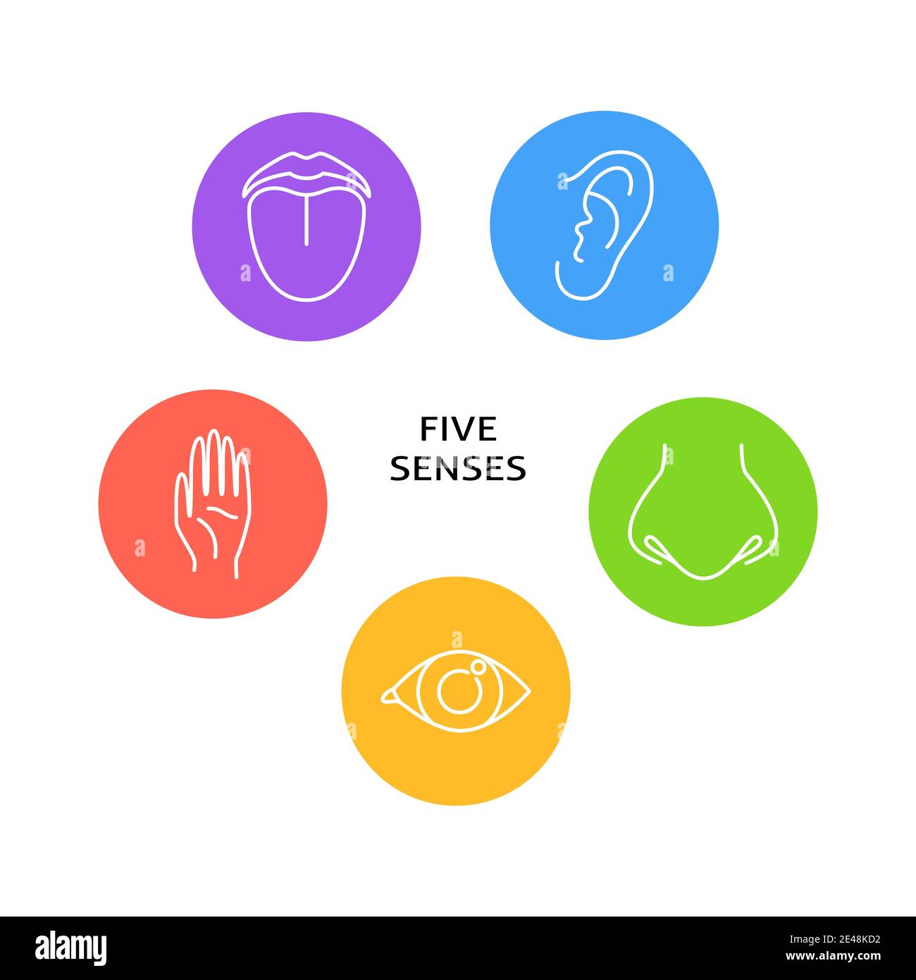 Five senses poster with symbols in line style. Banner with human perception elements - vision, touch, hearing, taste, smell. Vector illustration. Stock Vector