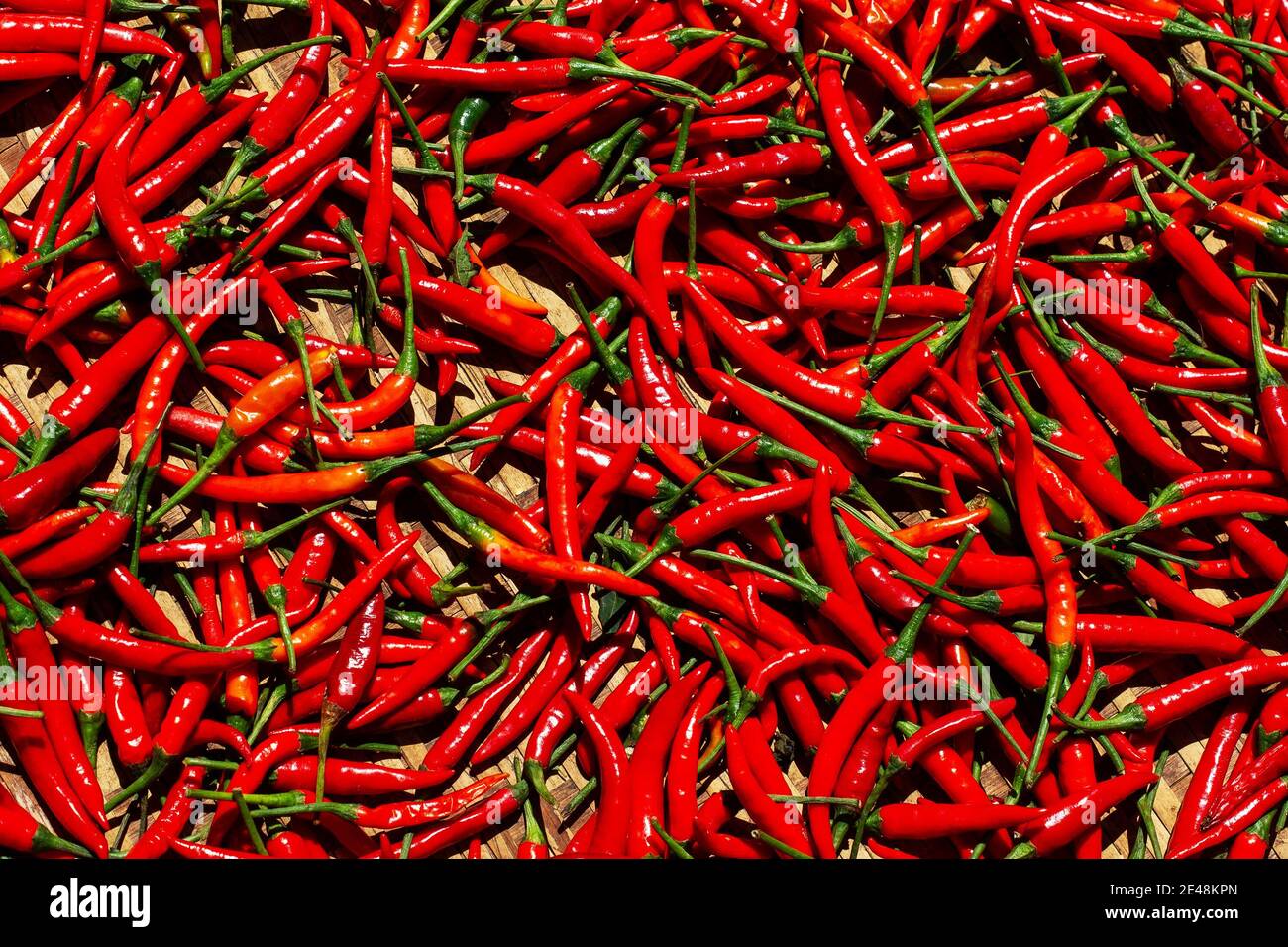 Red cayenne peppers (Capsicum annuum). Also known as Guinea spice, cow-horn pepper, red hot chili pepper, aleva, bird pepper. Fresh food background. T Stock Photo