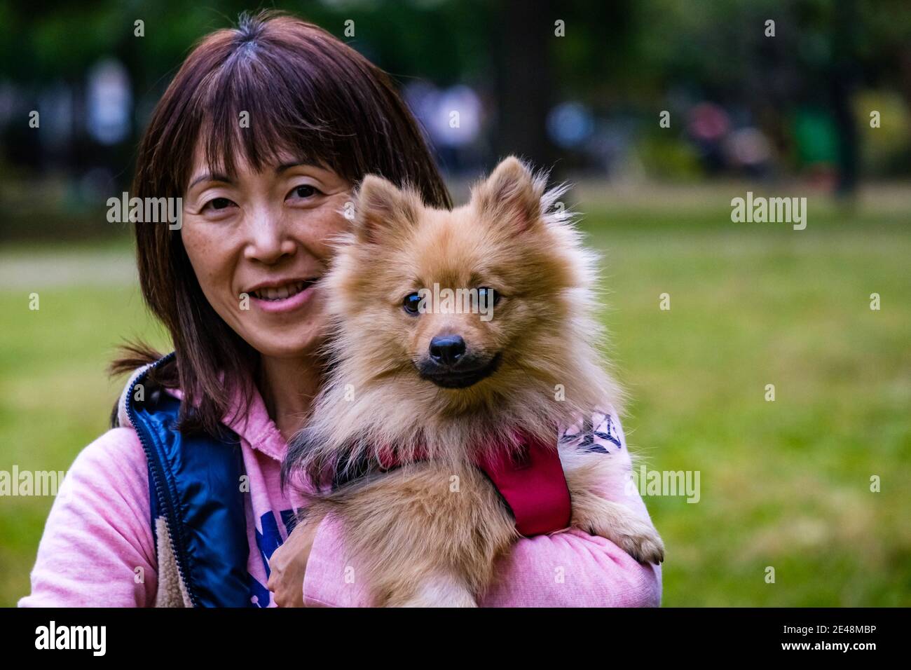Girl and dog love Stock Photo
