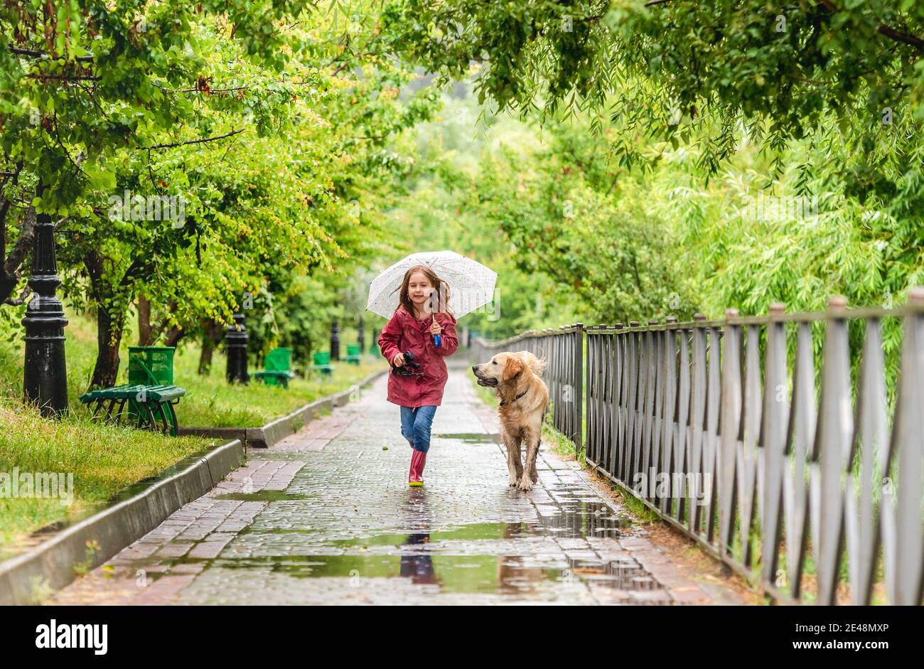 Do Dogs Like Walks In The Rain