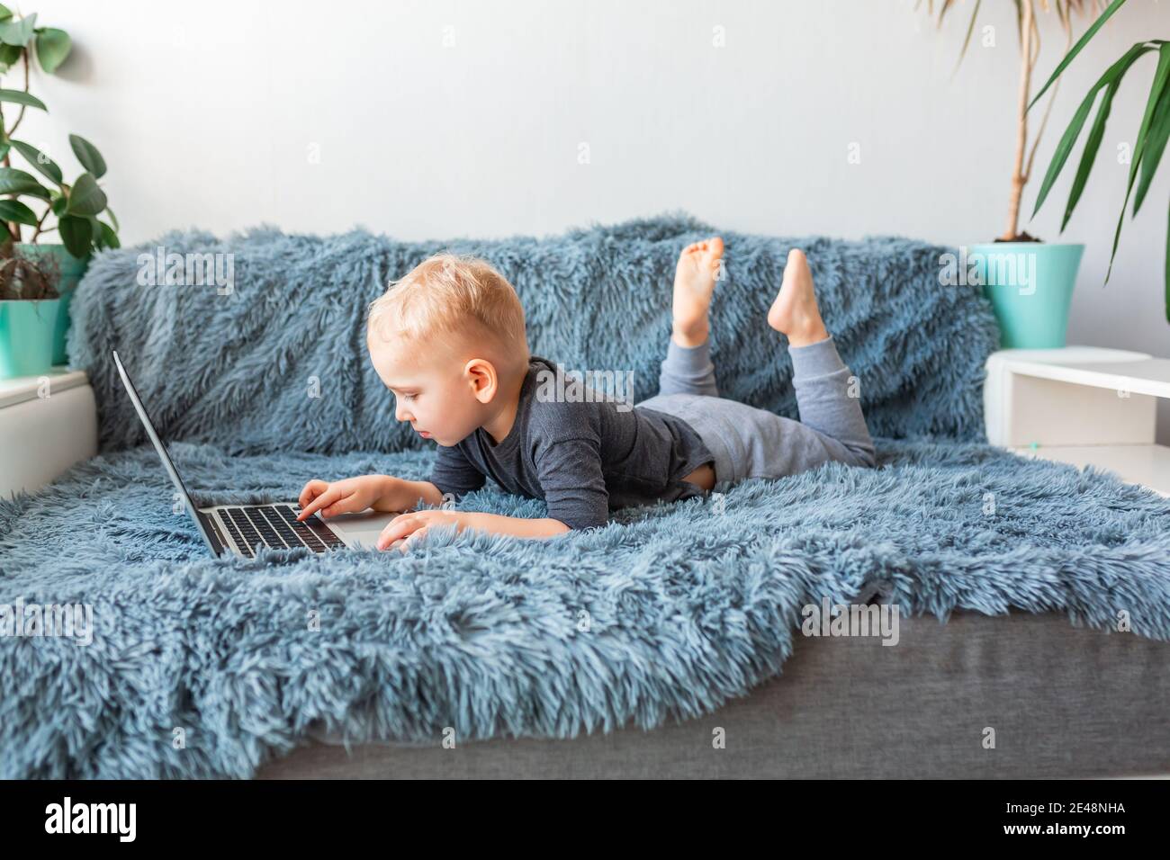 Little baby boy playing on laptop lying on sofa at home. E-learning ...