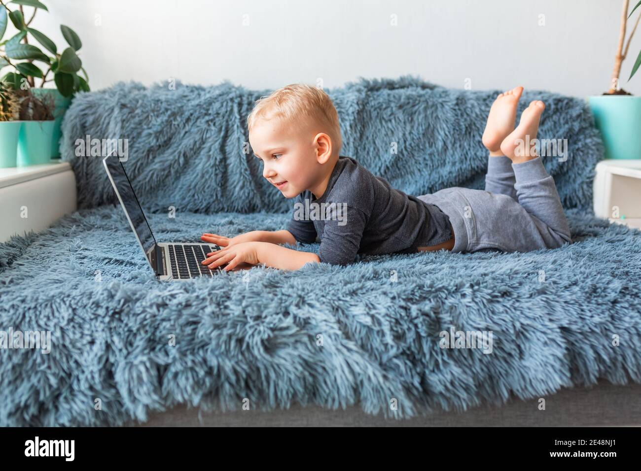 Little baby boy playing on laptop lying on sofa at home. E-learning ...