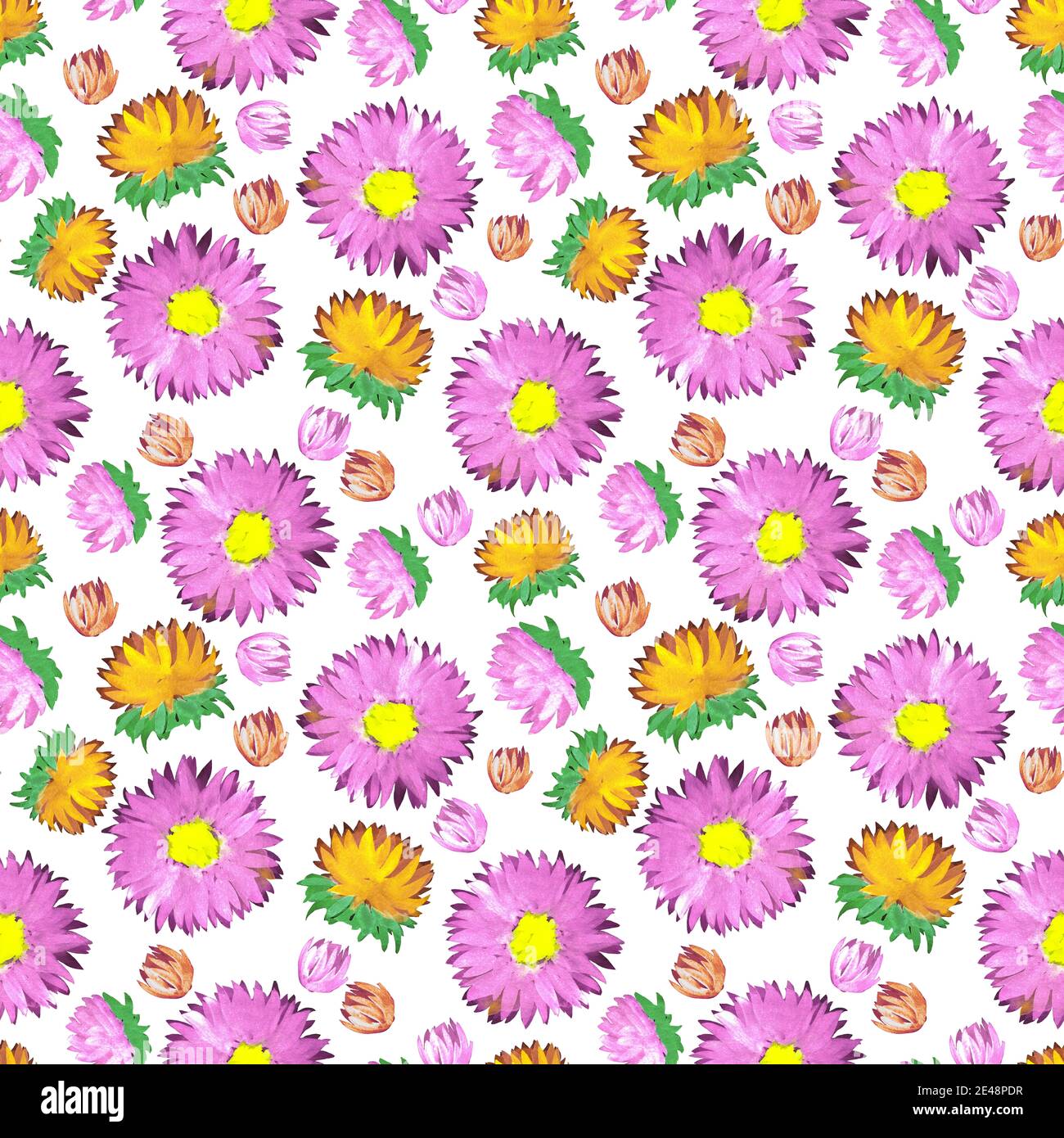 Pink aster bud watercolor seamless pattern Stock Photo