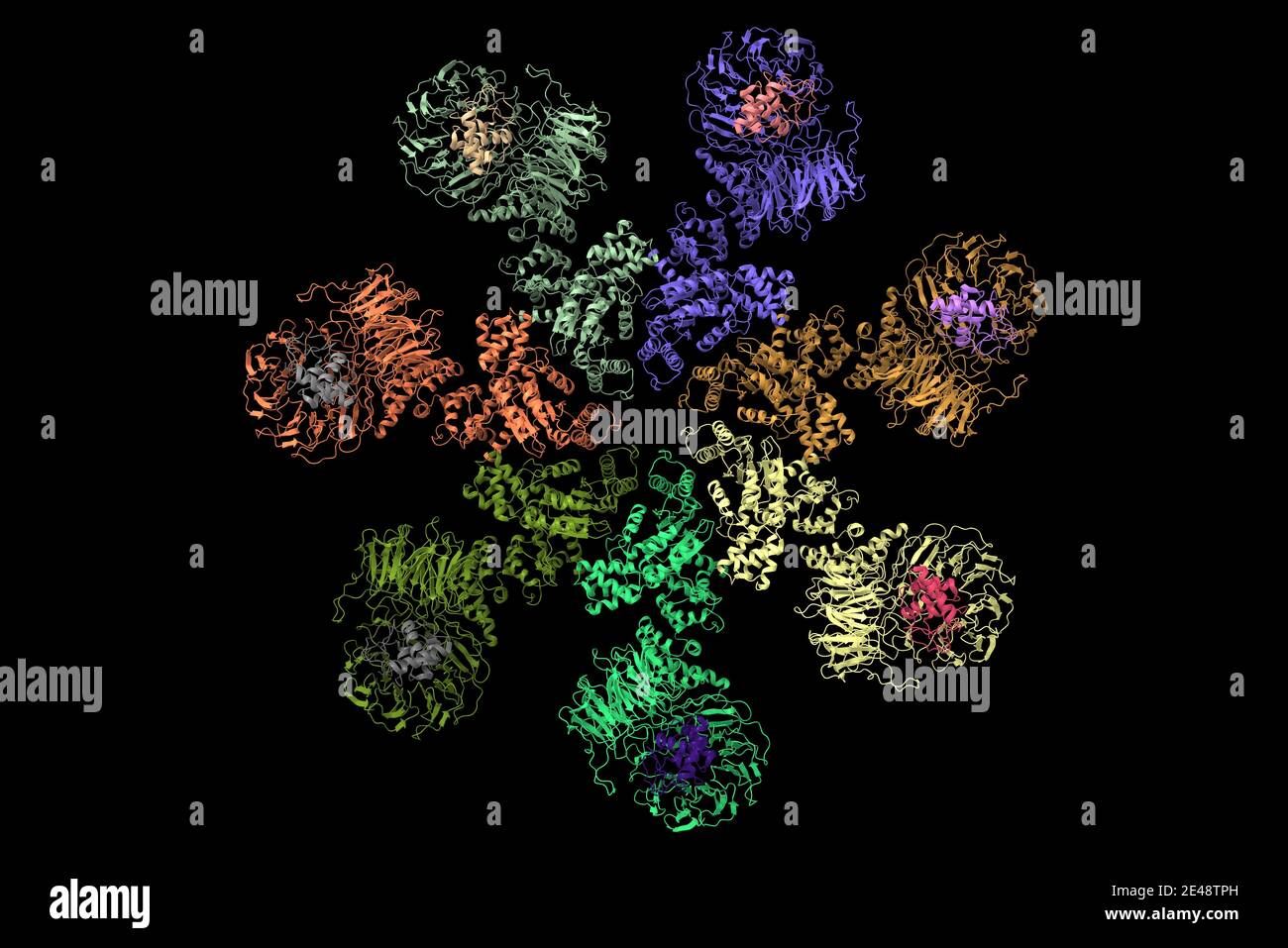 Structure of the Apaf-1 apoptosome with cytochrome C shown, 3D cartoon model, black background Stock Photo
